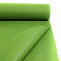 Shason Textile Pro Tuff Outdoor tkanina, svijetlo zelena