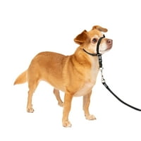 PetsAfe nježni vođa glava, bez ikakvog ovratnika za pse Savršeno za trening uzice i kabelskog oblika zaustavlja kućne ljubimce da