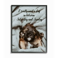 Stupell Industries Trodnevni fraza za vikend Smiješni štene kućni ljubimci Framirani zidni umjetnički dizajn Ziwei Li, 24 30