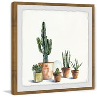 Umjetnički ispis uokvirene slike obitelj Kaktusa, 24.00 1.50
