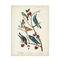 John James Audubon 'Townsends Warbler' platno umjetnost