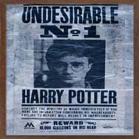 Čarobni svijet: Hari Potter-neželjeni plakat na zidu, 14.725 22.375