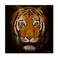 Studio Slika s tigrom na crnoj pozadini platnena Umjetnost