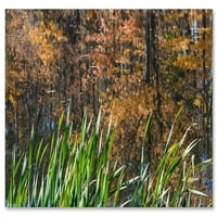 Zaštitni znak likovne umjetnosti Studene boje na Pond's Edge Canvas Art by Kurt Shaffer