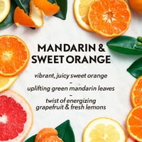 Punjenje esencijalne magle u boji mandarine i slatke mandarine, difuzor esencijalnog ulja, osvježivač zraka