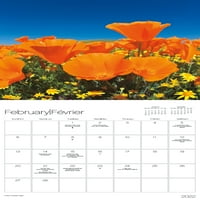 Kalendar zida buketa prirode