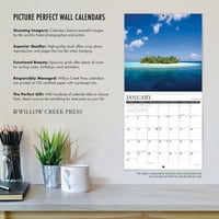 Willow Creek Press Axolotls zidni kalendar
