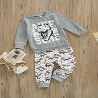 Komplet odjeće za dječake s Dino printom, majica s okruglim vratom s dugim rukavima + Ležerne hlače za dječake, od 1 godine