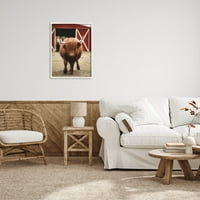 Stupell Industries, Trči kasu goveda Хайленда, Sjajna crvena fotografija амбара, Umjetnička ispis u bijelom okviru, Zidna slika,