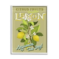 Stupell Industries Vintage Citrus Fruits Limun Stisnuti dnevnu frazu, 20, dizajn Andrea Jasid Grassi