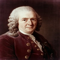 Carolus Linnaeus. Švedski botaničar. Ulje na platnu, 1775., Aleksandar Roslin. Ispis plakata iz