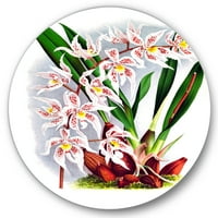 Dizajnerska umjetnost bijeli Vintage cvijet orhideje Tradicionalni kružni metalni zidni umjetnički disk od 11