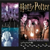 Trendovi International Harry Potter zidni kalendar