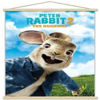 Peter Rabbit - Zidni plakat s drvenim magnetskim okvirom, 22.375 34