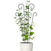 Kolci potporni okvir za biljke penjačice vrtna rešetka za biljke penjačice kavez za cvijeće