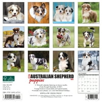 Willow Creek Press Just Australian Pastir štenad zidni kalendar